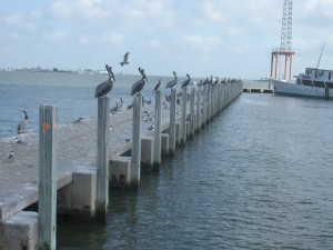 Galveston Marina